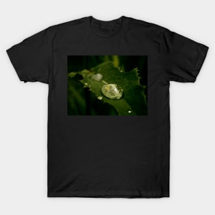 Drop of Water on a Leaf - macro photography T-Shirt